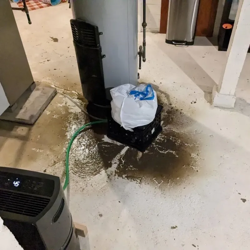 Sewage Backup Cleanup Service in Donald, OR
